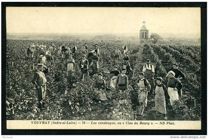 domaine huet vendanges au clos du bourg en 1976