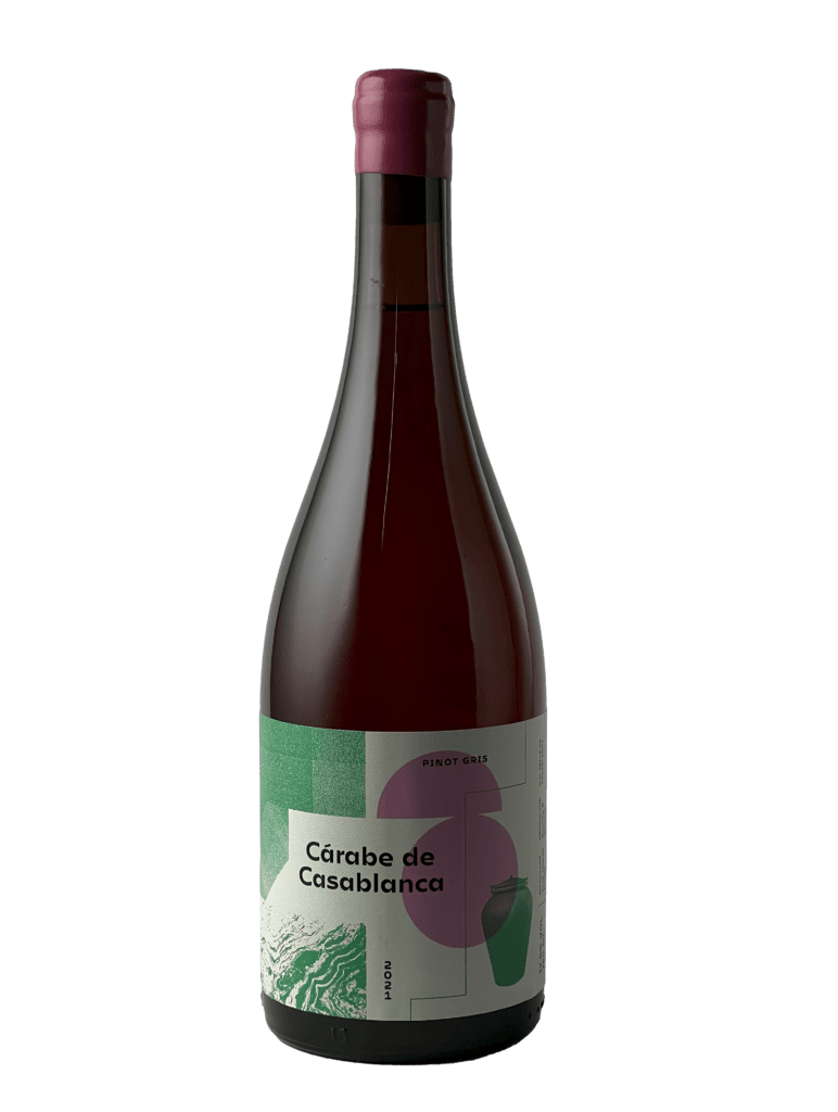 Hyde Park Fine Wines photo of Vinicola Atacalco Carabe de Casablanca Pinot Gris (2021)