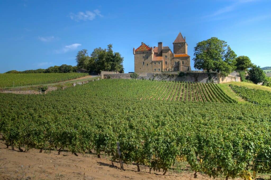 French Vineyard and Chateau